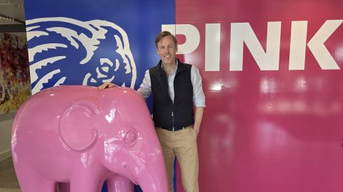 Thomas Blankvoort Pink